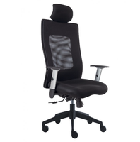 Kancelářská židle LENA s 3D podhlavníkem a područkami