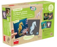 Maxi pexeso - Zvířata a jejich kostra