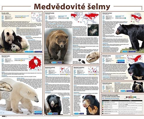 /media/products/medvedovite_selmy.jpg