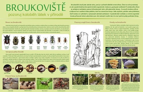 /media/products/nastenna-tabule-broukoviste.jpeg