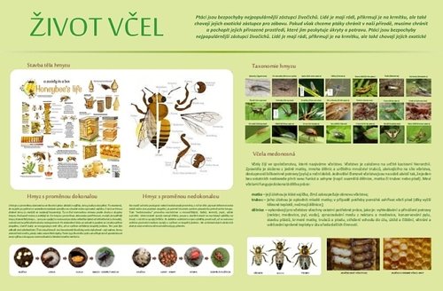 /media/products/nastenna-tabule-zivot-vcel.jpg