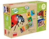 Obří domino ze světa hmyzu