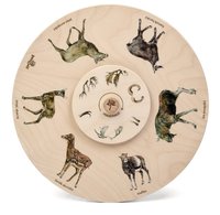 Otočné kolo - Paroží