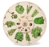 Otočné kolo - Plody