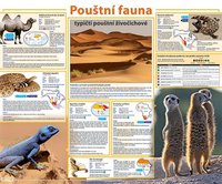 Obraz Pouštní fauna - typičtí pouštní živočichové