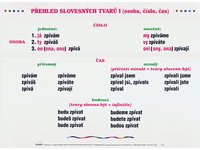 /media/products/prehled-slovesnych-tvaru-1.jpg