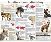 Obraz Psovité a hyenovité šelmy