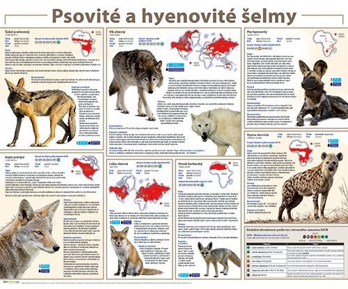 /media/products/psovite_a_hyenovite_selmy.jpg