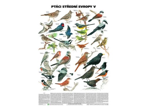 /media/products/ptaci-stredni-evropy-v-pevci-1.jpg