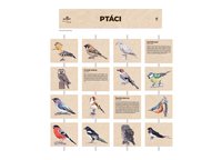/media/products/ptaci_VLf272R.jpg