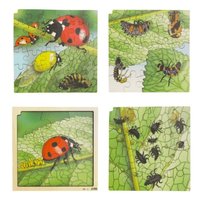 Puzzle životní cyklus berušky + free aplikace