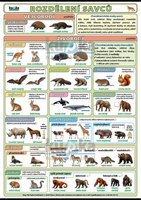 Rozdělení savců XXL (140x100 cm)