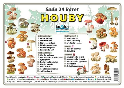 /media/products/sada-24-karet-houby-0.jpg.big.jpg