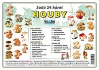 Sada 24 karet - houby A6 (15x10 cm)