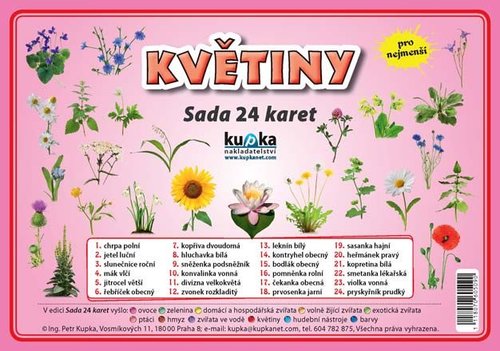 /media/products/sada-24-karet-kvetiny-0.jpg.big.jpg