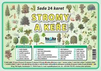 Sada 24 karet - stromy a keře A6 (15x10 cm)