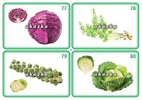/media/products/sada-24-karet-zelenina-2-2.jpg