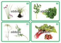 /media/products/sada-24-karet-zelenina-2-5.jpg