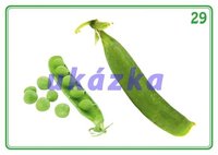 /media/products/sada-24-karet-zelenina-3.jpg