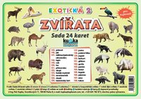 Sada 24 karet - zvířata exotická 2 A6 (15x10 cm)