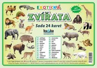 Sada 24 karet - zvířata exotická A6 (15x10 cm)