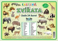 Sada 24 karet - zvířata exotická A4 (30x21 cm)