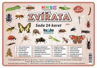 Sada 24 karet - zvířata (hmyz) A5 (21x15 cm)