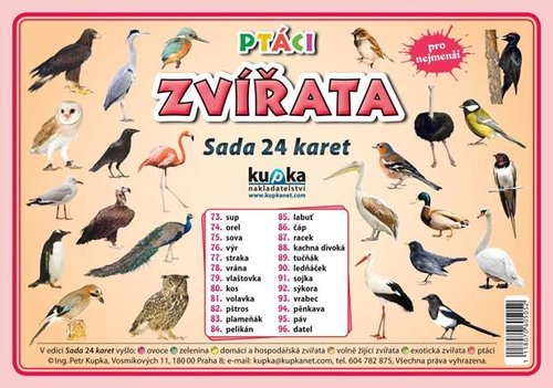 /media/products/sada-24-karet-zvirata-ptaci.jpg