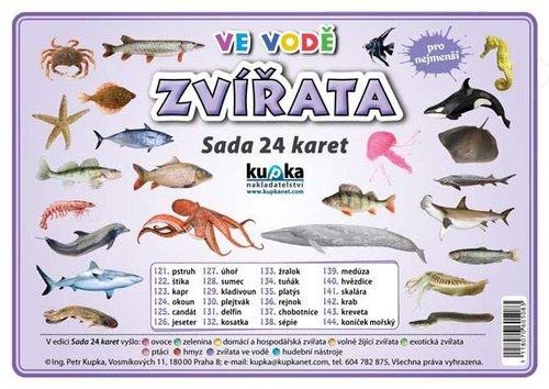 /media/products/sada-24-karet-zvirata-ve-vode-0.jpg.big.jpg