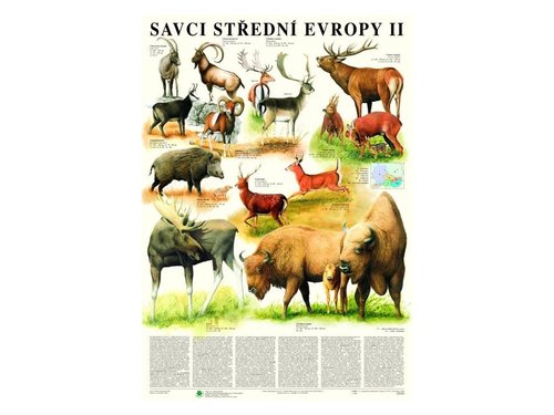 /media/products/savci-stredni-evropy-ii-sudokopytnici.jpg