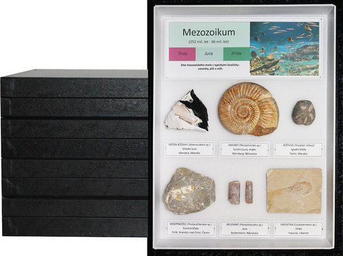 /media/products/sbirka-fosilii.jpeg