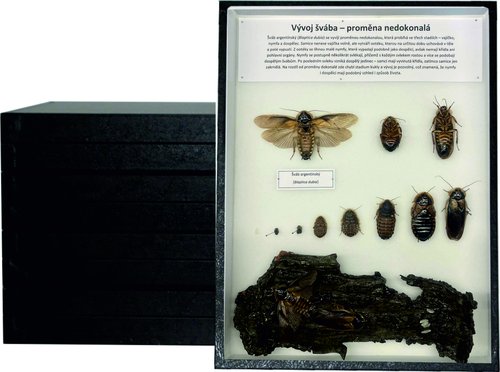 /media/products/sbirka_vyvoje_hmyzu.jpg
