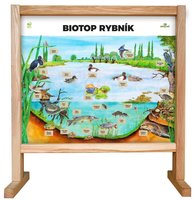 Stolní biotop s magnety - Rybník