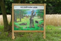 /media/products/stolni-biotop-s-magnety-ve-svetlem-lese_1.jpg