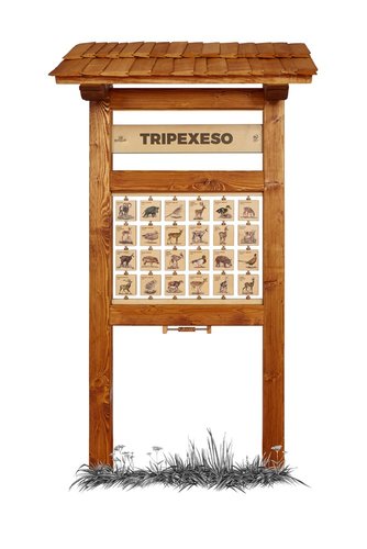 /media/products/tripexeso-l.jpg