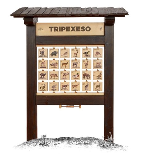 /media/products/tripexeso-m_aD0hy4W.jpeg