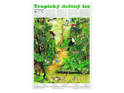 /media/products/tropicky-destny-les.jpg