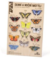 Velké vylomeniny - Noční a denní motýli