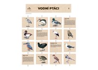 /media/products/vodni_ptaci.jpg