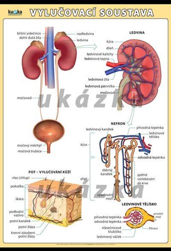 /media/products/vylucovaci-soustava-0.jpg.big.jpg