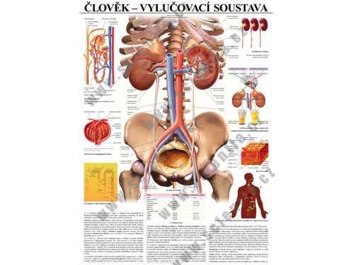 /media/products/vylucovaci-soustava.jpg