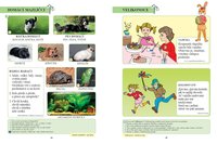 /media/products/z1130-6.jpg