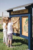 /media/products/zvukove-pexeso-m-hlasy-lesa.jpg